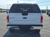 Used 2017 Ford F150 XLT image 5