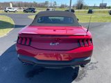Certified 2024 Ford Mustang GT Premium image 3