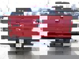 Used 2014 Ford F150 XLT w/ Equipment Group 302A Luxury image 4