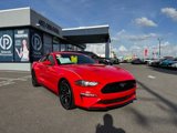 Used 2019 Ford Mustang Coupe image 1