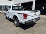 Used 2016 Ford F150 XL w/ Equipment Group 101A Mid image 3
