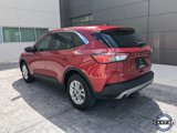 Used 2021 Ford Escape SE image 6
