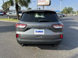 Used 2022 Ford Escape SE w/ SE Sport Appearance Package image 5
