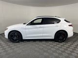 Used 2022 Alfa Romeo Stelvio Veloce image 4