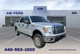 Used 2012 Ford F150 XLT w/ XLT Chrome Pkg image 5