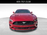 Used 2021 Ford Mustang Premium w/ Equipment Group 201A image 2