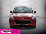 Used 2020 Ford Escape SE image 2