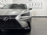 Used 2020 Lexus NX 300h AWD w/ Premium Package image 3