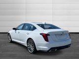 New 2025 Cadillac CT5 Premium Luxury w/ Technology Package image 3