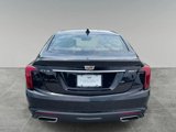 Used 2023 Cadillac CT5 Luxury w/ Sun And Sound Package image 4