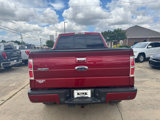 Used 2013 Ford F150 Limited image 4