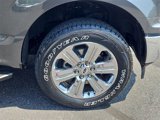 Certified 2019 Ford F150 XLT w/ Equipment Group 302A Luxury image 4