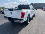 Used 2021 Ford F150 XLT w/ Equipment Group 301A Mid image 4