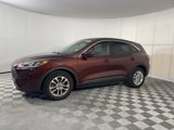 Used 2021 Ford Escape SE w/ Convenience Package image 4
