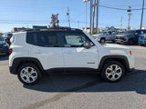 Used 2019 Jeep Renegade Limited w/ Safety and Security Group image 4