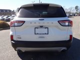 Used 2022 Ford Escape SEL image 6