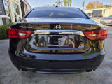 Used 2016 Nissan Maxima Platinum image 6