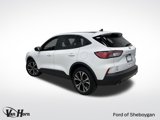 Certified 2022 Ford Escape SE w/ SE Sport Appearance Package image 4