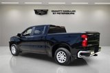 Used 2020 Chevrolet Silverado 1500 LT w/ All-Star Edition image 4