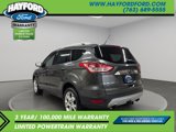 Used 2016 Ford Escape Titanium image 3