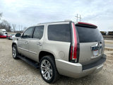 Used 2007 Cadillac Escalade AWD w/ Information Package image 4