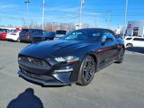 Used 2022 Ford Mustang Premium image 3