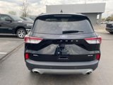Used 2022 Ford Escape SEL image 3
