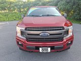 Used 2019 Ford F150 XLT w/ Equipment Group 302A Luxury image 2