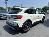 Certified 2022 Ford Escape SEL image 5