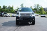 Used 2014 Ford F150 Platinum image 2