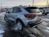 Used 2024 Ford Escape Active image 4