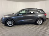 Used 2020 Ford Escape SE image 4