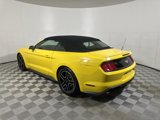 Used 2018 Ford Mustang Premium w/ Equipment Group 201A image 5