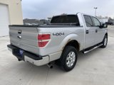 Used 2013 Ford F150 XLT w/ Luxury Equipment Group image 4