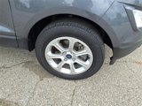Used 2022 Ford EcoSport SE w/ SE Convenience Package image 4
