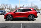 Used 2022 Ford Escape SEL image 5