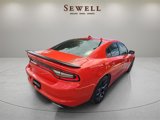 Used 2023 Dodge Charger SXT w/ Blacktop Package image 3