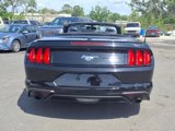 Used 2020 Ford Mustang Premium image 6