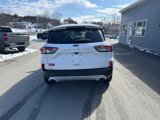 Used 2020 Ford Escape SE image 3