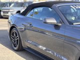 Certified 2022 Ford Mustang Premium image 5