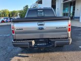 Used 2013 Ford F150 Platinum image 4
