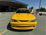 Used 1998 Ford Mustang Cobra image 4