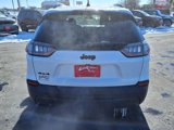 Used 2023 Jeep Cherokee Altitude Lux image 5