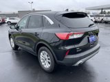 Used 2022 Ford Escape SE w/ Convenience Package image 6