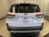Used 2020 Ford Escape SE image 5
