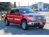 Used 2013 Ford F150 XLT w/ Luxury Equipment Group image 2