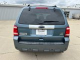 Used 2011 Ford Escape Limited w/ 302A Rapid Spec Order Code image 5
