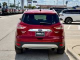 Used 2014 Ford Escape Titanium image 4
