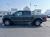 Used 2015 Ford F150 XLT w/ Equipment Group 302A Luxury image 2
