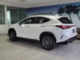 Used 2023 Lexus NX 350 AWD image 3
